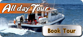 alldaytour