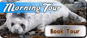 morning_tourbook
